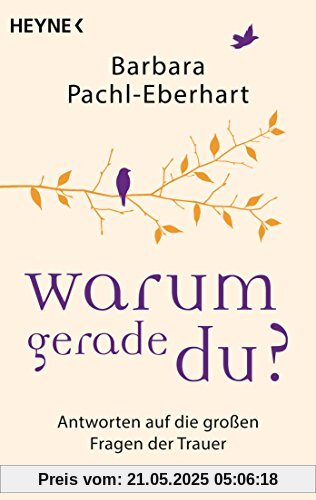 Warum gerade du?: Antworten auf die großen Fragen der Trauer