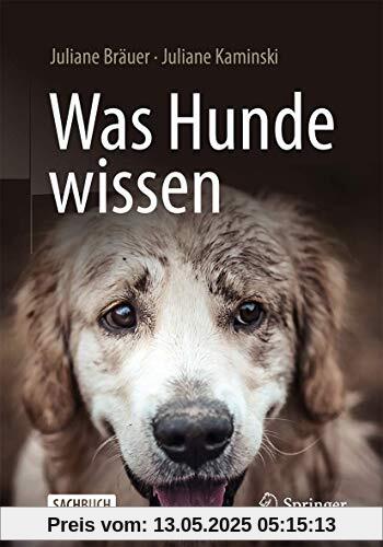 Was Hunde wissen
