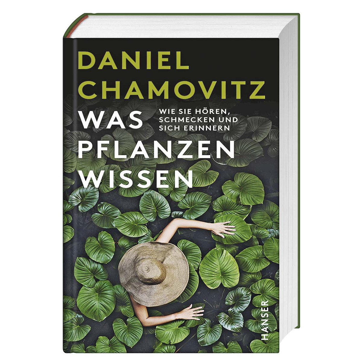 Was Pflanzen wissen von Carl Hanser Verlag