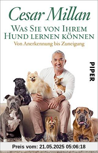 Was Sie von Ihrem Hund lernen können: Von Anerkennung bis Zuneigung Was Sie von Ihrem Hund lernen können: Von Anerkennung bis Zuneigung