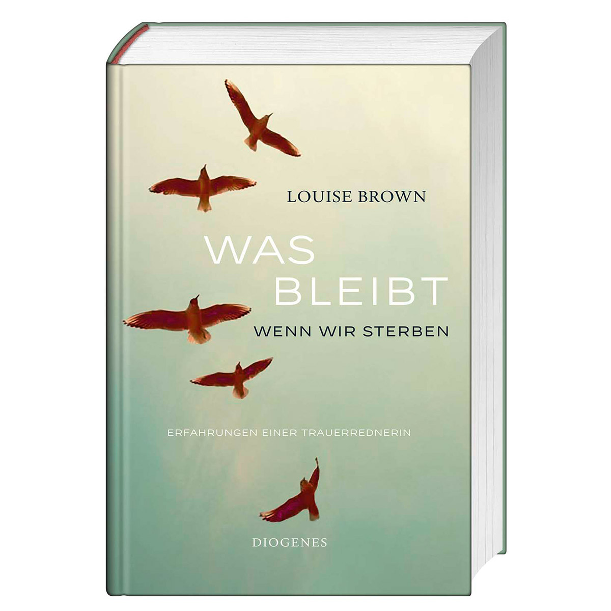 Was bleibt wenn wir sterben von Diogenes Verlag