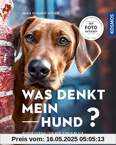 Was denkt mein Hund?: Hundeverhalten auf einen Blick