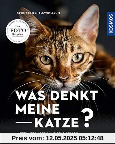 Was denkt meine Katze: Katzenverhalten auf einen Blick