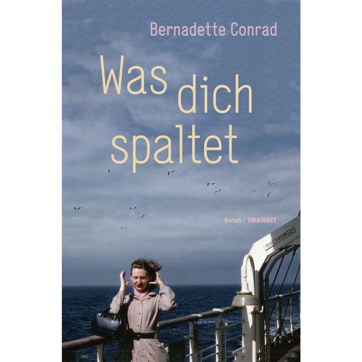 Was dich spaltet Was dich spaltet von Transit Buchverlag GmbH