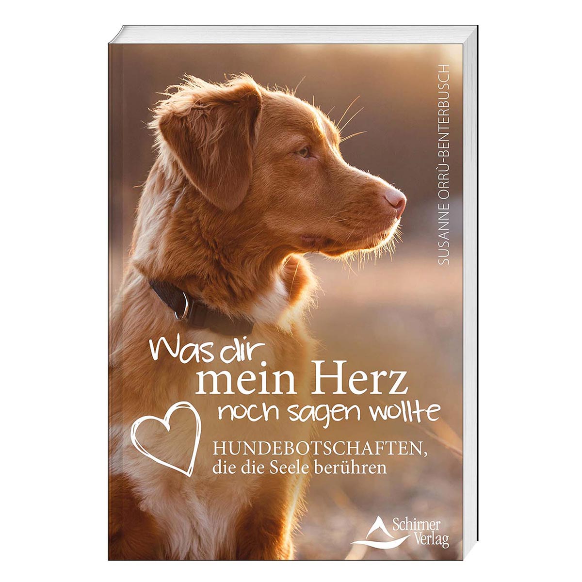 Was dir mein Herz noch sagen wollte Was dir mein Herz noch sagen wollte von Schirner Verlag