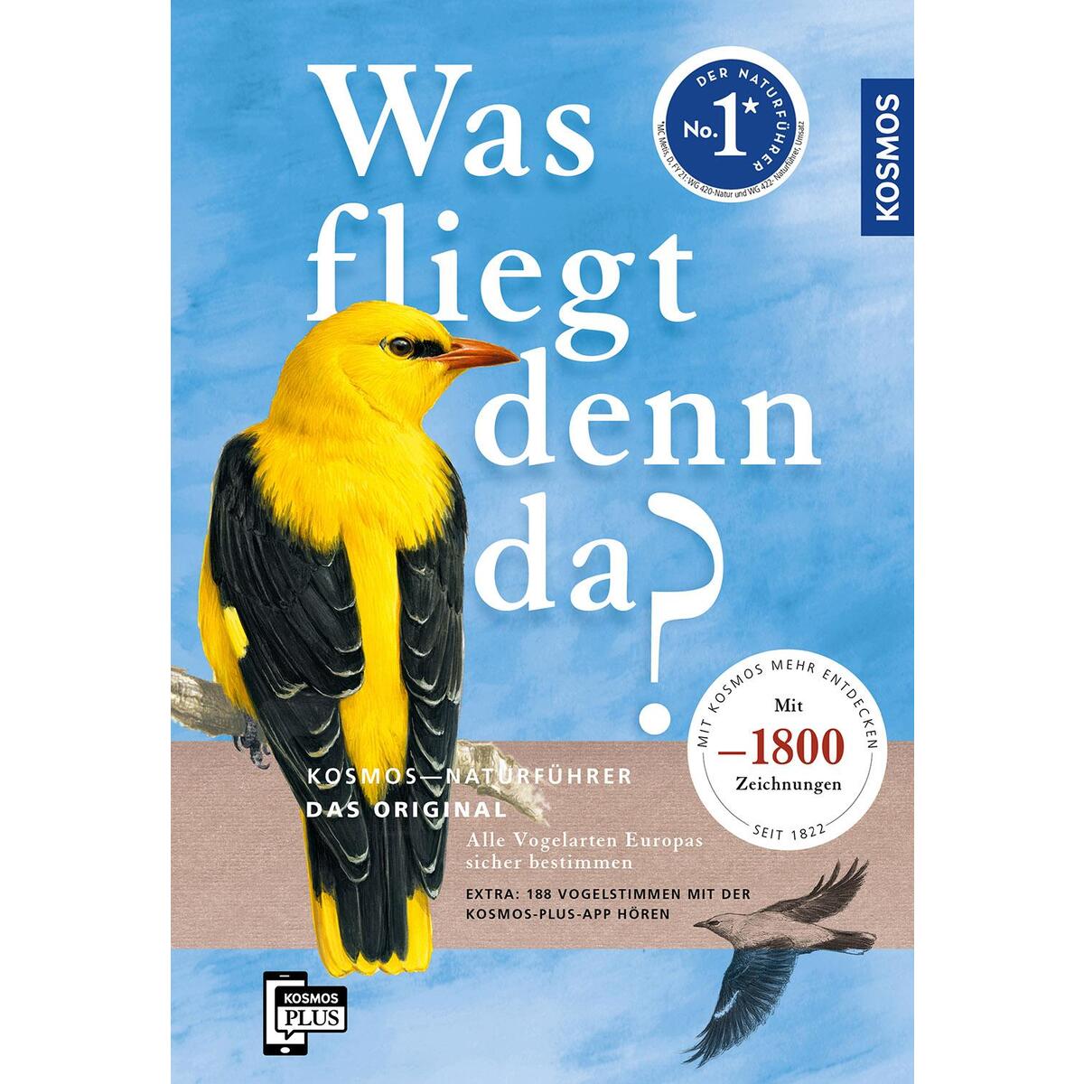 Was fliegt denn da Was fliegt denn da von Kosmos Verlag