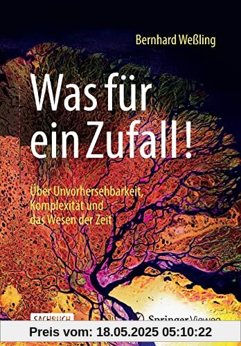 Was für ein Zufall!: Über Unvorhersehbarkeit, Komplexität und das Wesen der Zeit