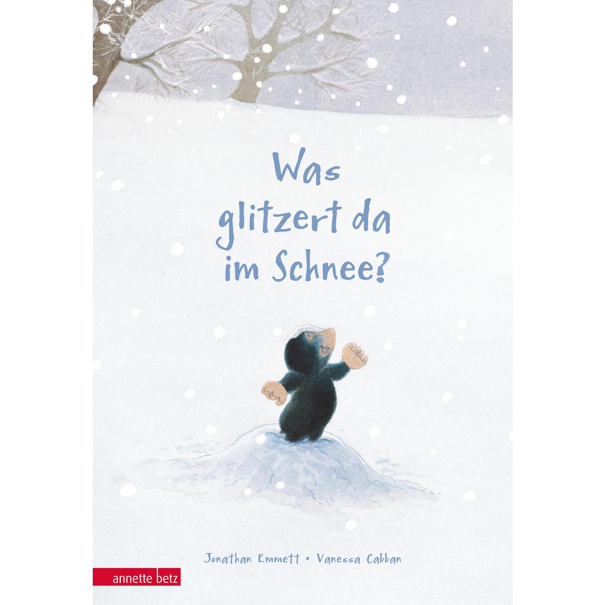 Was glitzert da im Schnee? von Betz, Annette
