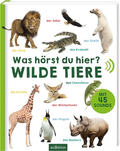 Was hörst du hier? – Wilde Tiere: Mit 50 Sounds | Hochwertiges Soundbuch mit realistischen Sounds für Kinder ab 24 Monaten von Ars Edition