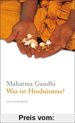 Was ist Hinduismus? (insel taschenbuch)
