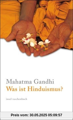 Was ist Hinduismus? (insel taschenbuch)