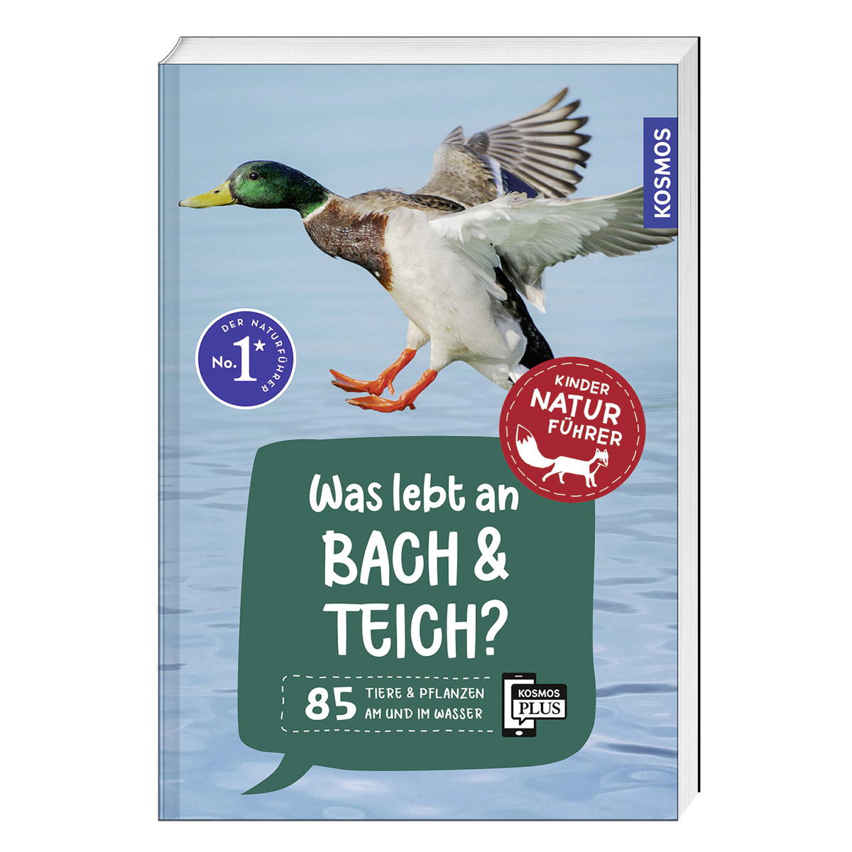 Was lebt an Bach und Teich? von Franckh-Kosmos