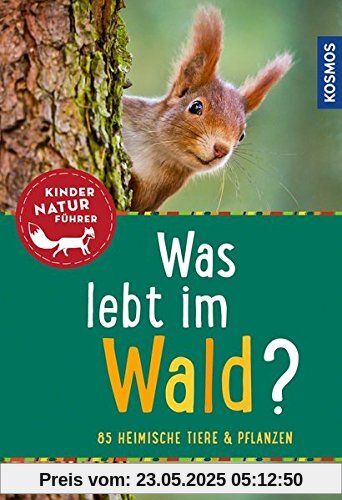 Was lebt im Wald? Kindernaturführer: 85 heimische Tiere und Pflanzen (Mein erstes...)