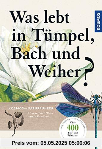 Was lebt in Tümpel, Bach und Weiher?: Pflanzen und Tiere unserer Gewässer Was lebt in Tümpel, Bach und Weiher?: Pflanzen und Tiere unserer Gewässer
