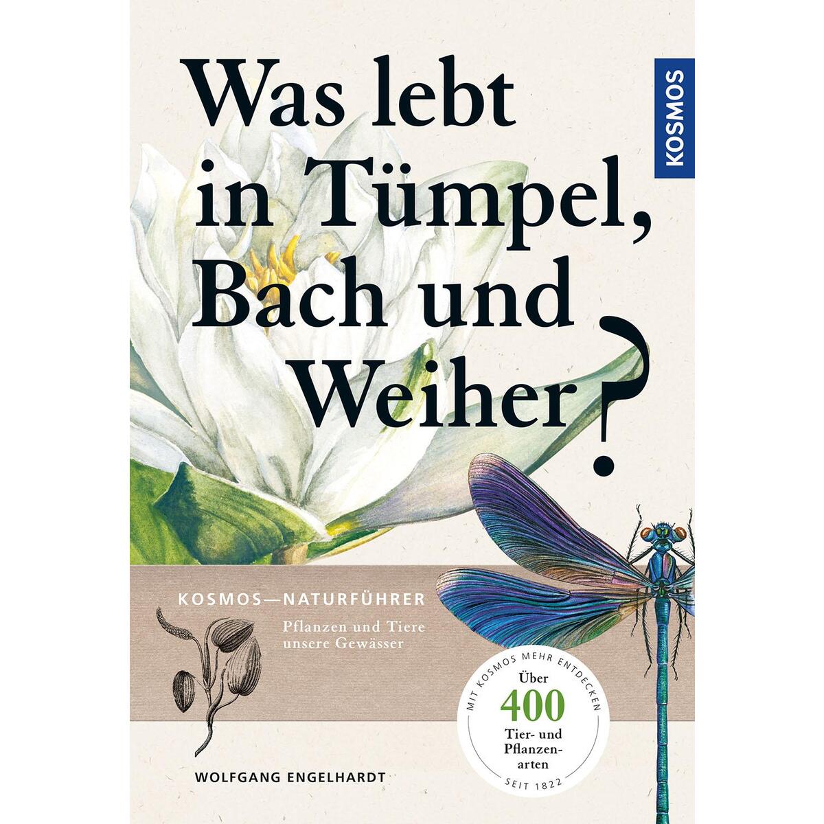 Was lebt in Tümpel, Bach und Weiher? Was lebt in Tümpel, Bach und Weiher? von Franckh-Kosmos