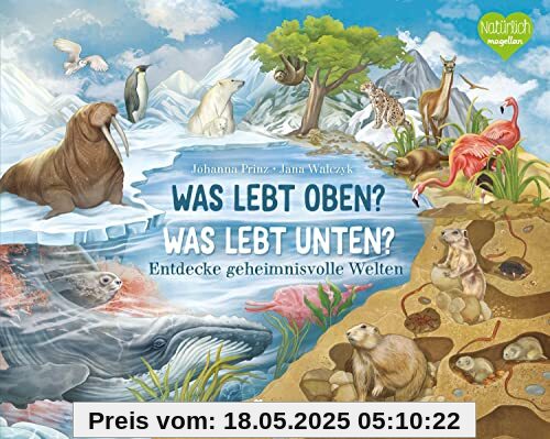 Was lebt oben? Was lebt unten?: Entdecke geheimnisvolle Welten Was lebt oben? Was lebt unten?: Entdecke geheimnisvolle Welten