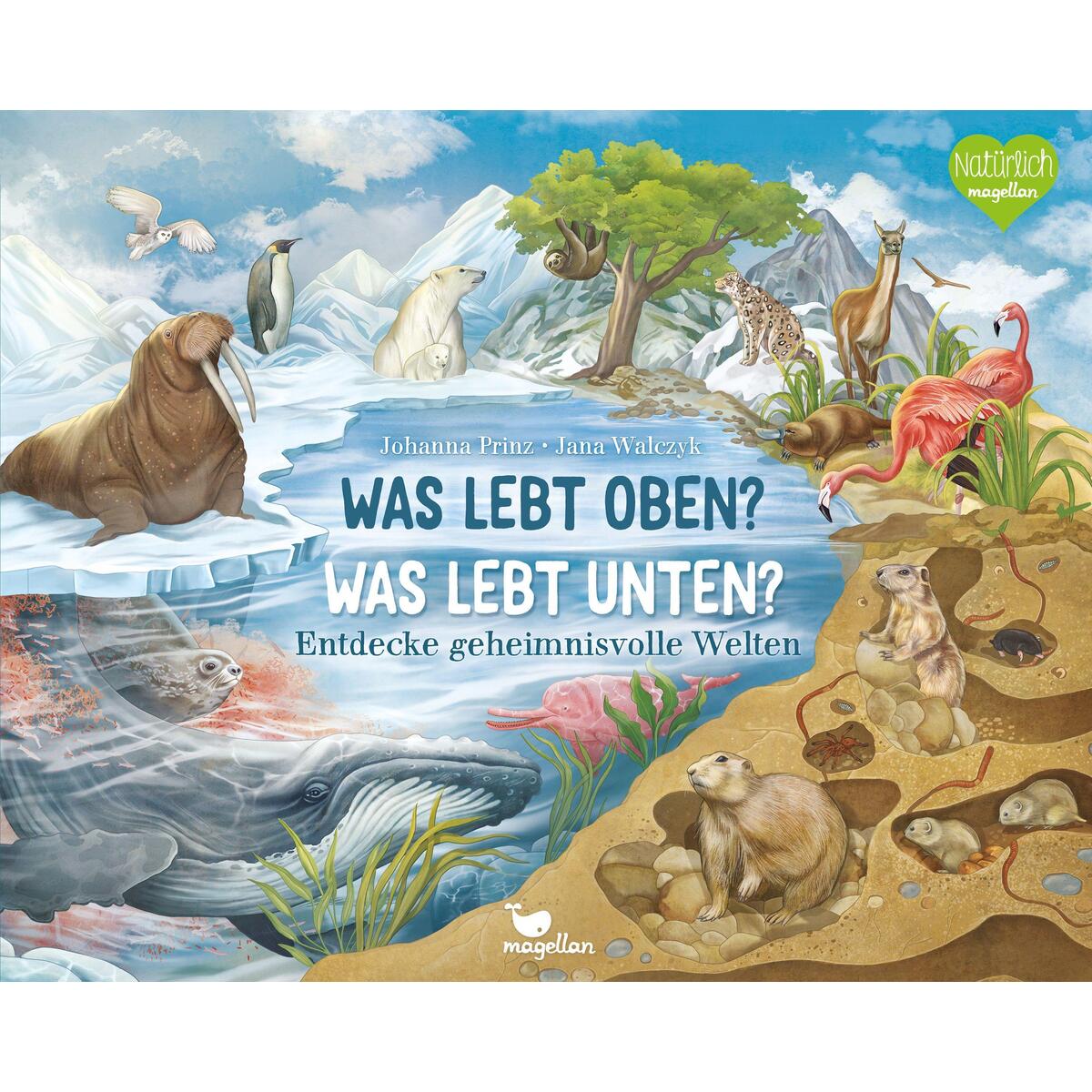 Was lebt oben? Was lebt unten? von Magellan GmbH
