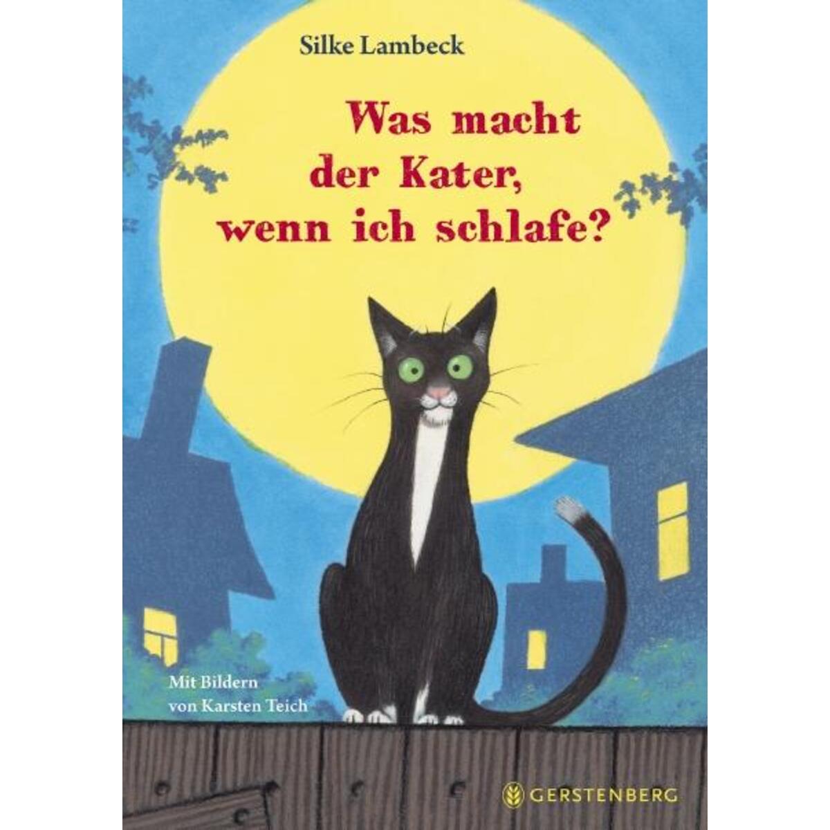 Was macht der Kater, wenn ich schlafe? von Gerstenberg Verlag