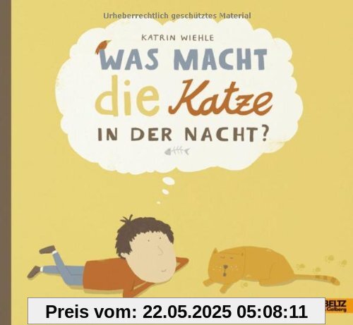 Was macht die Katze in der Nacht?: Vierfarbiges Bilderbuch