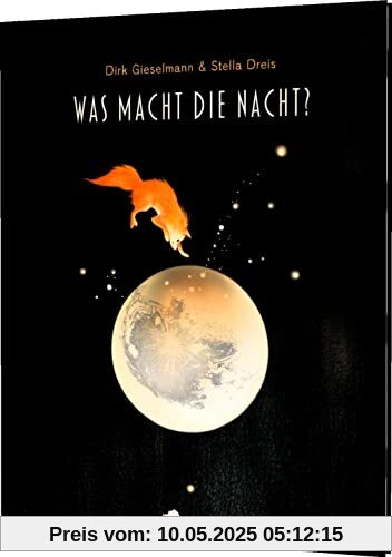 Was macht die Nacht?: Bilderbuch über die Magie der Nacht