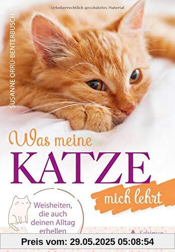 Was meine Katze mich lehrt: Weisheiten, die auch deinen Alltag erhellen