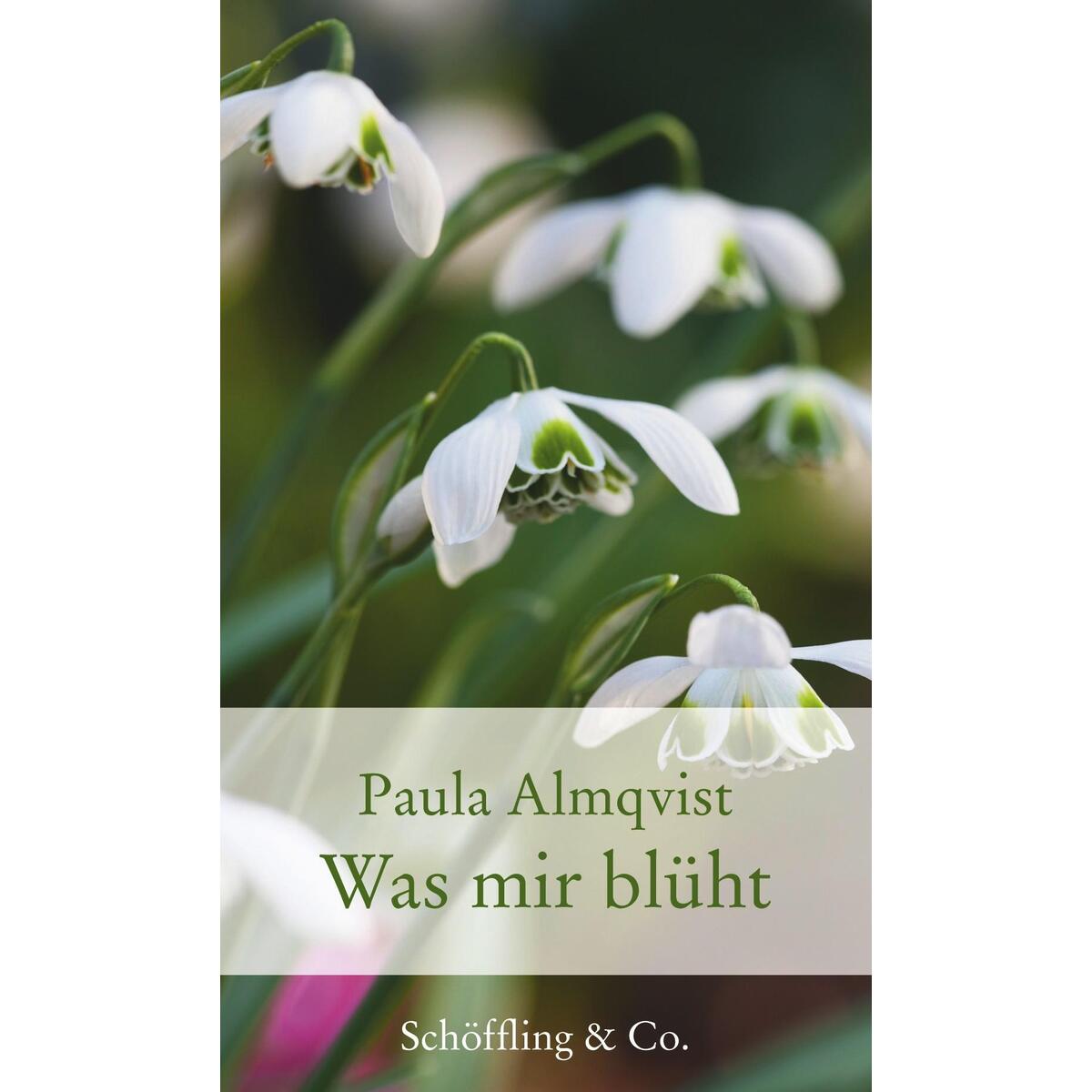 Was mir blüht von Schöffling & Co.