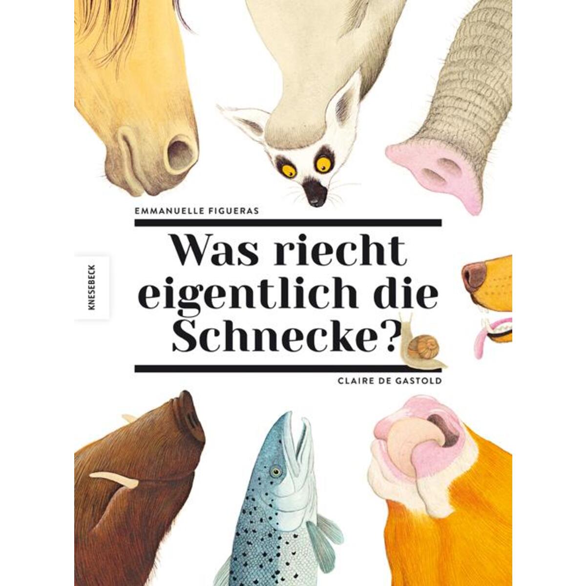 Was riecht eigentlich die Schnecke? von Knesebeck Von Dem GmbH