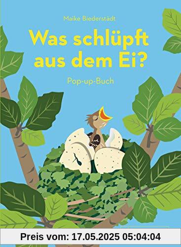 Was schlüpft aus dem Ei?: Pop-up-Buch