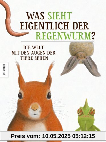 Was sieht eigentlich der Regenwurm?: Die Welt mit den Augen der Tiere sehen