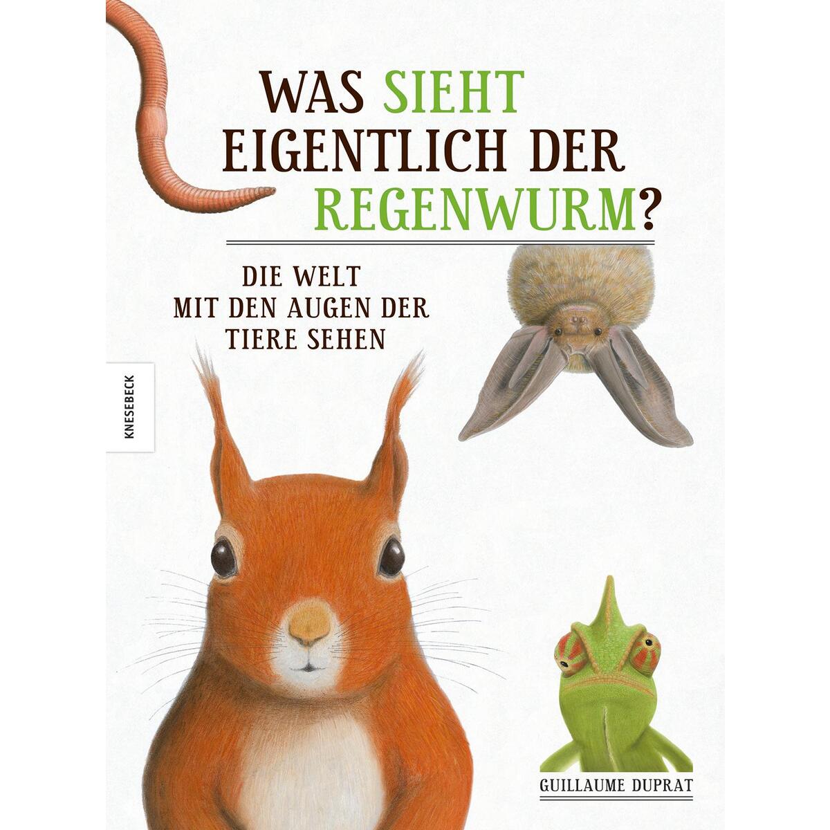 Was sieht eigentlich der Regenwurm? von Knesebeck Von Dem GmbH