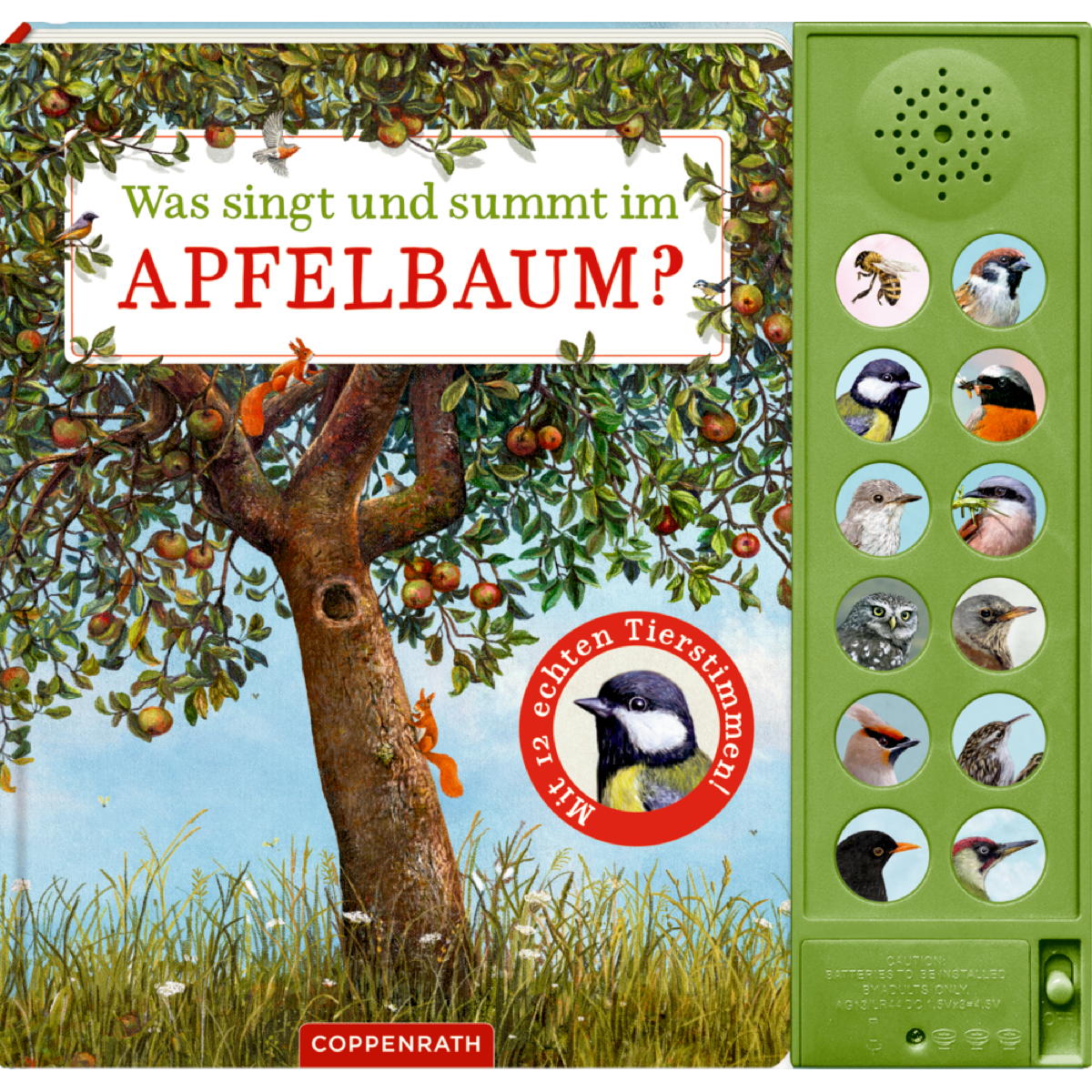 Was singt und summt im Apfelbaum? von Coppenrath