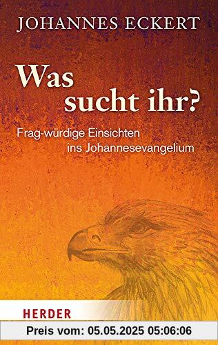Was sucht ihr?: Frag-würdige Einsichten ins Johannesevangelium
