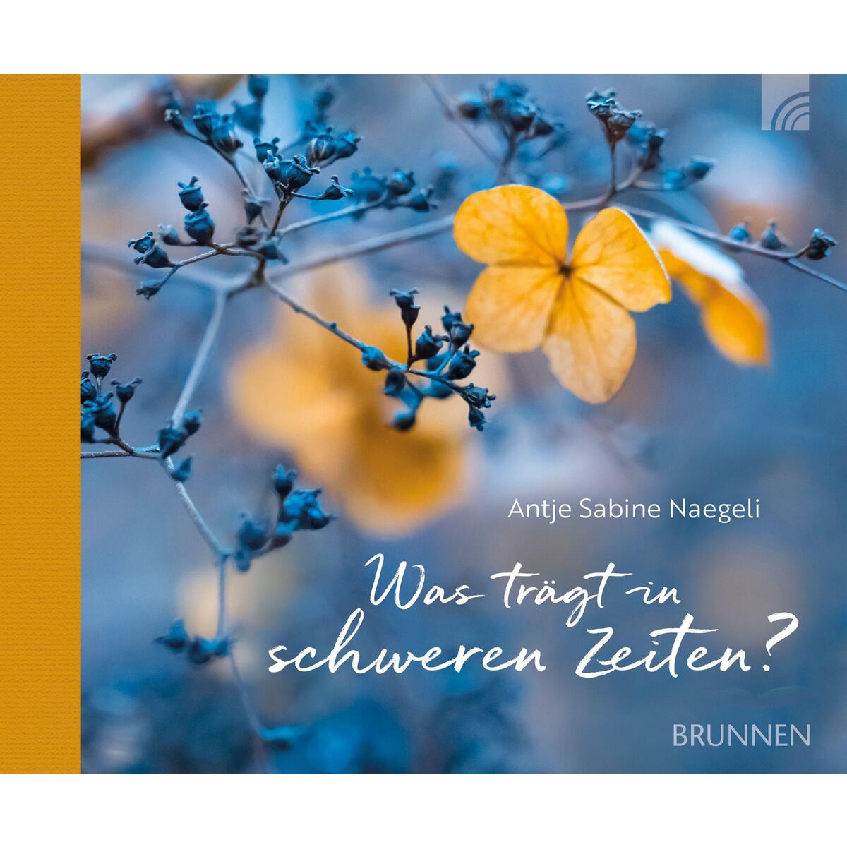 Was trägt in schweren Zeiten von Brunnen Verlag