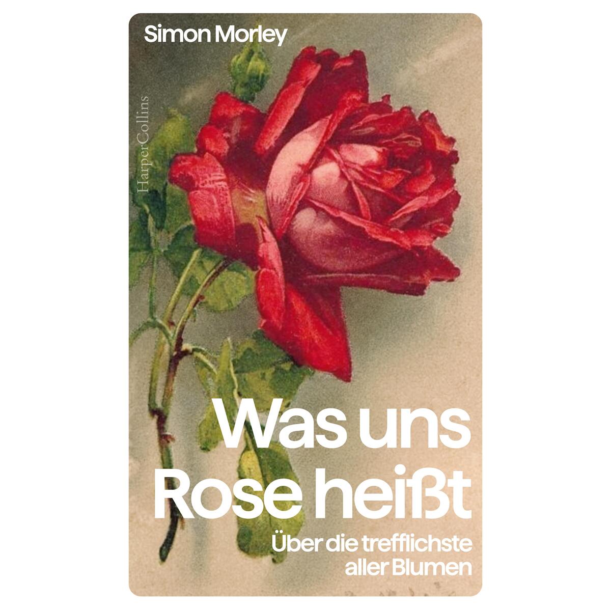 Was uns Rose heißt. Über die trefflichste aller Blumen Was uns Rose heißt. Über die trefflichste aller Blumen von HarperCollins Hardcover