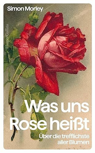 Was uns Rose heißt. Über die trefflichste aller Blumen: Eine Kulturgeschichte der Rose | Das p... Was uns Rose heißt. Über die trefflichste aller Blumen: Eine Kulturgeschichte der Rose | Das p...