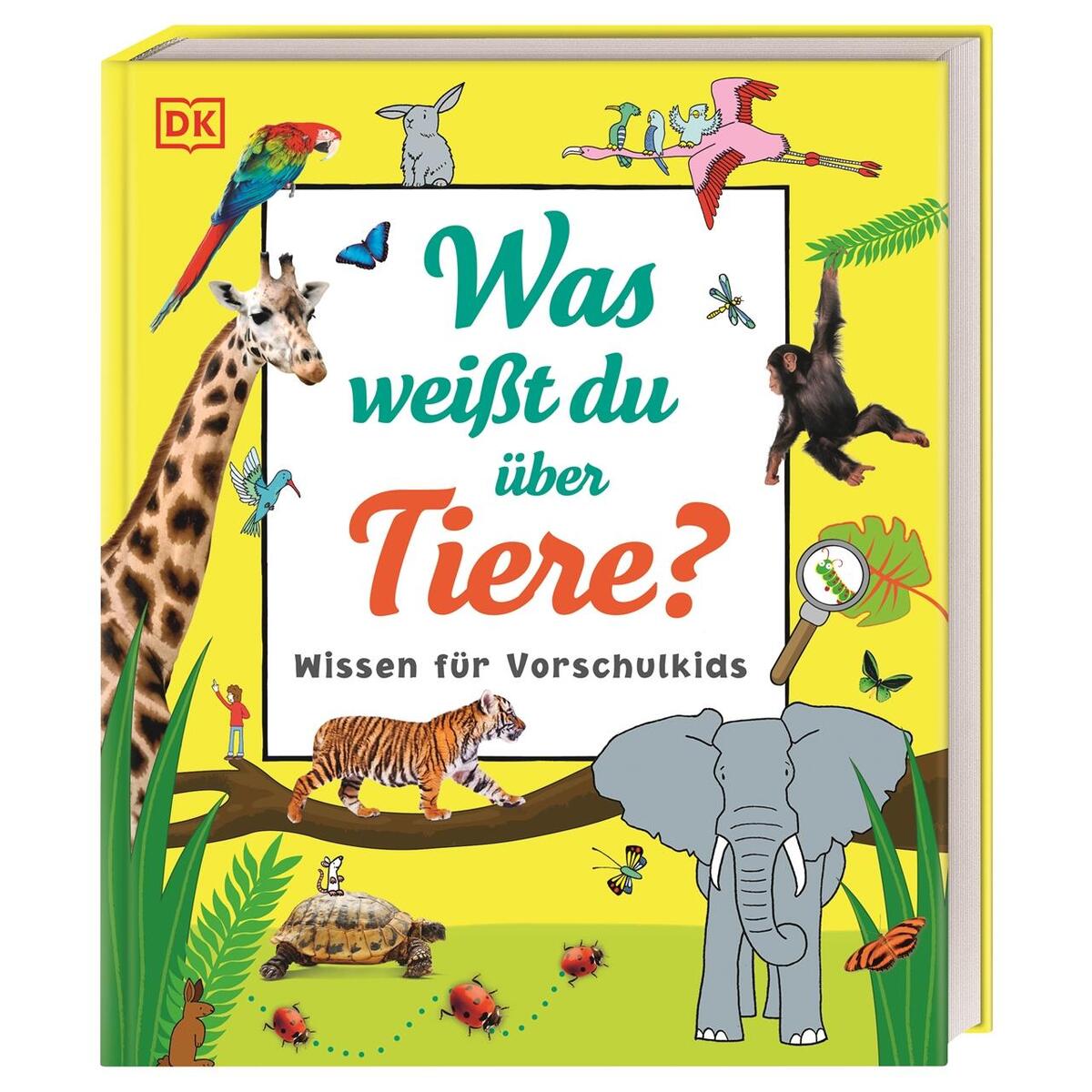 Was weißt du über Tiere? Was weißt du über Tiere? von Dorling Kindersley Verlag
