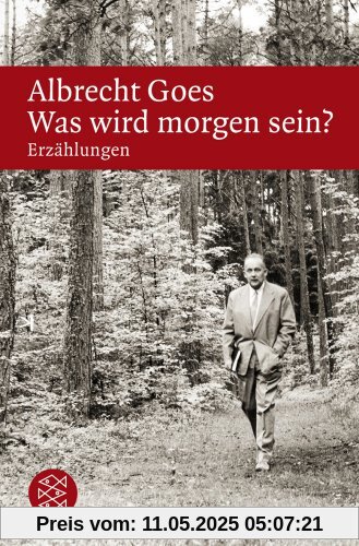 Was wird morgen sein?: Erzählungen
