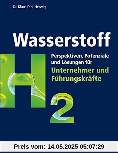 Wasserstoff: Perspektiven, Potenziale und Lösungen für Unternehmer und Führungskräfte