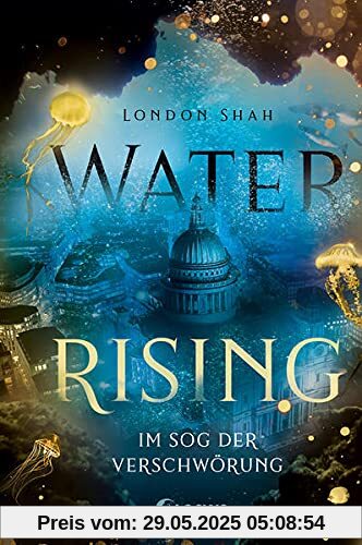 Water Rising (Band 2) - Im Sog der Verschwörung: Dystopischer Climate Thriller ab 14 Jahre