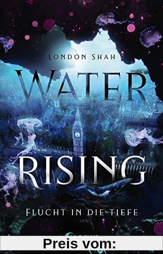 Water Rising - Flucht in die Tiefe: Dystopischer Climate Thriller ab 14 Jahre