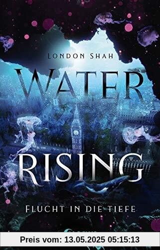 Water Rising - Flucht in die Tiefe: Dystopischer Climate Thriller ab 14 Jahre