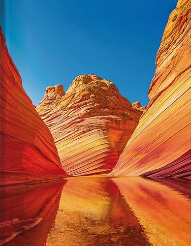 Wave Arizona: Blankbook (Blankbook (RB906))