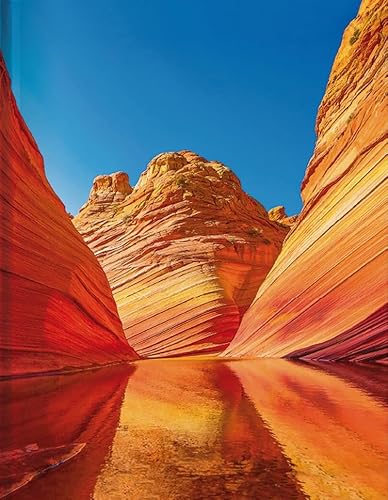 Wave Arizona: Blankbook (Blankbook (RB906))