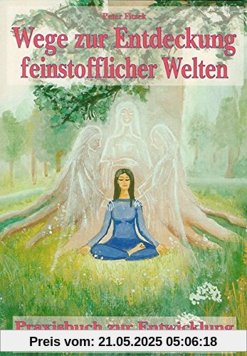 Wege zur Entdeckung feinstofflicher Welten: Praxisbuch zur Entwicklung medialer Fähigkeiten