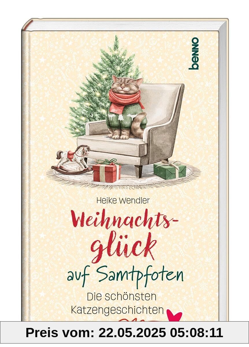 Weihnachtsglück auf Samtpfoten: Die schönsten Katzengeschichten