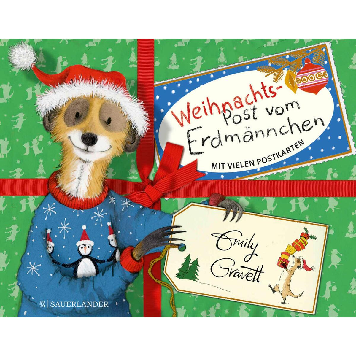 Weihnachtspost vom Erdmännchen von FISCHER Sauerländer