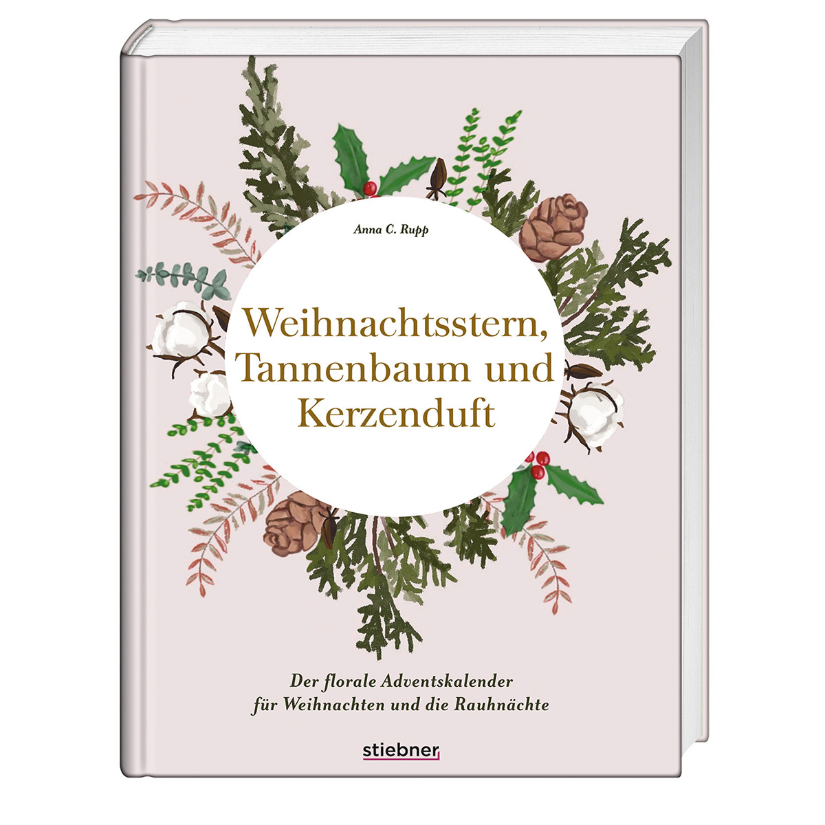 Weihnachtsstern, Tannenbaum und Kerzenduft Weihnachtsstern, Tannenbaum und Kerzenduft von Stiebner Verlag GmbH