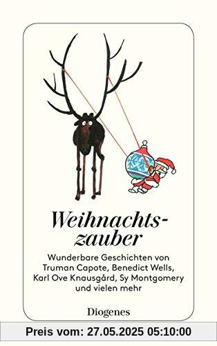 Weihnachtszauber: Wunderbare Geschichten für gemütliche Tage (detebe)