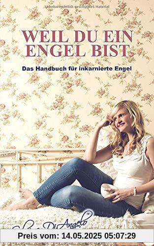 Weil du ein Engel bist: Das Handbuch für inkarnierte Engel