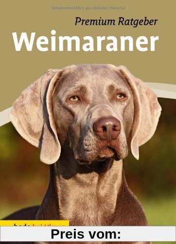Weimaraner